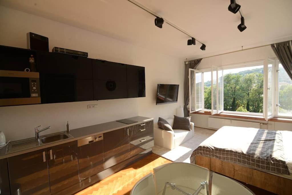 Fabulous River View Studio In The Heart Of Apartmán Praha
